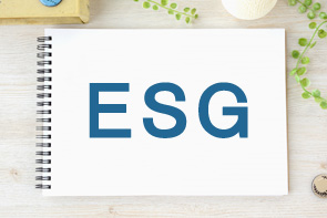 ESGとは何ですか？